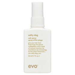 Evo Salty Dog Salt Spray  - Travel Size