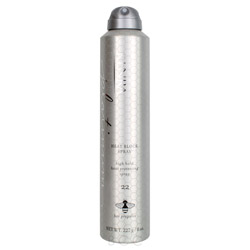 Kenra Professional Platinum Heat Block Spray 22