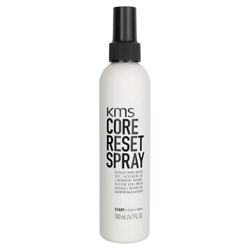 KMS Core Reset Spray