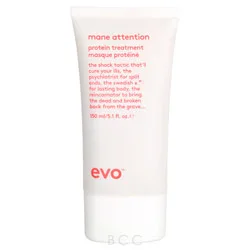 Evo Mane Attention Protein Treatment