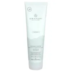 Paul Mitchell Awapuhi Wild Ginger Cream Rinse