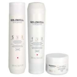 Goldwell Dualsenses Dazzle Silver Fortifying Trio