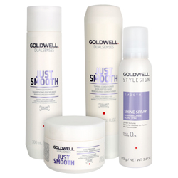 Goldwell Dualsenses Just Smooth Care & Style Set - Shine Spray