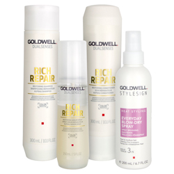 Goldwell Dualsenses Rich Repair Care & Style Set - Everyday Blow-Dry Spray