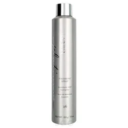 Kenra Professional Platinum Finishing Spray 26