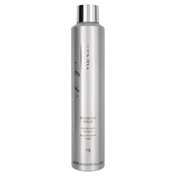 Kenra Professional Platinum Working Spray 14