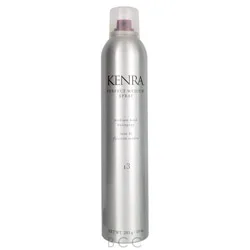 Kenra Professional Perfect Medium Spray 13