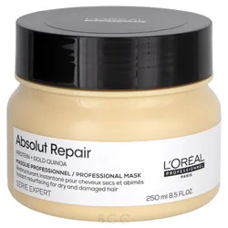 Loreal Professionnel Serie Expert Absolut Repair Instant Resurfacing Masque